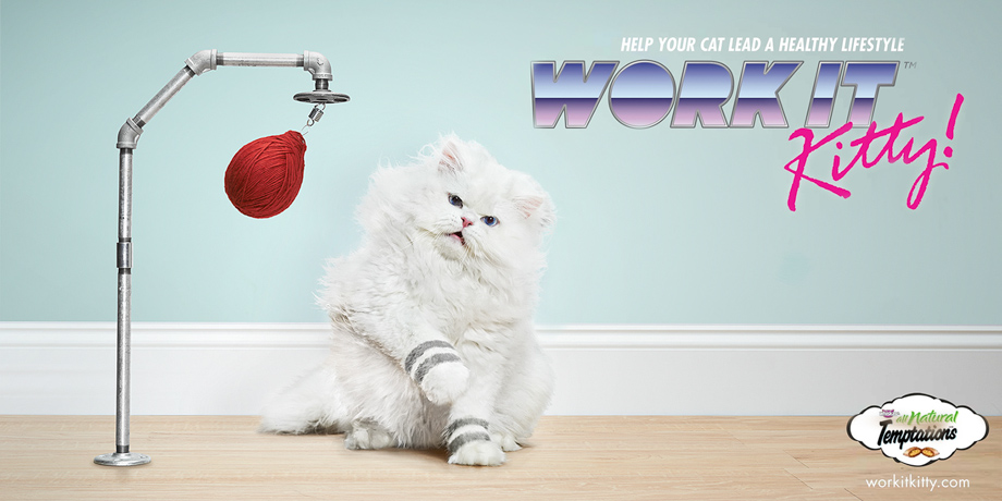 Work It Kitty © Ross Feighery / Temptations