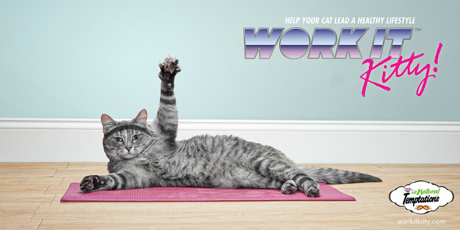 Work It Kitty © Ross Feighery / Temptations